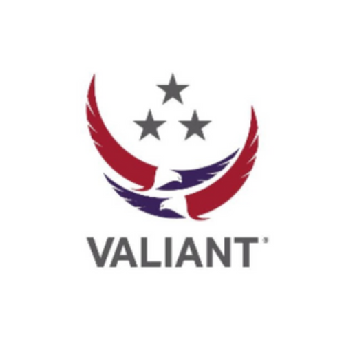 Valiant Intergrated Services