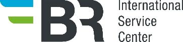 BR International Consulting Services