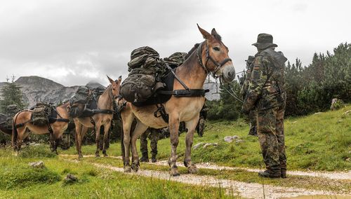 Meet Master Sergeant Matthias Havel, a member of the German Mountain Infantry Brigade employing pack animals in its missions