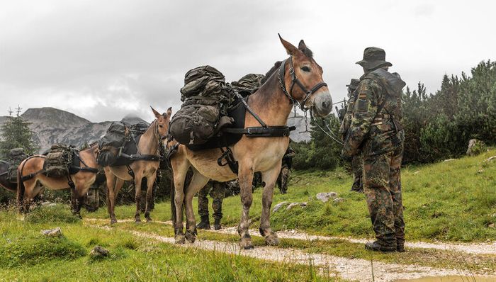 Meet Master Sergeant Matthias Havel, a member of the German Mountain Infantry Brigade employing pack animals in its missions