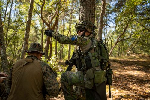 Finland Announces New Arms Aid To Ukraine