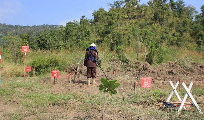Cambodia to provide demining, UXO clearance training to Ukraine