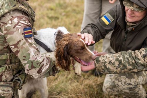 UK Helping To Train The Dogs Of War