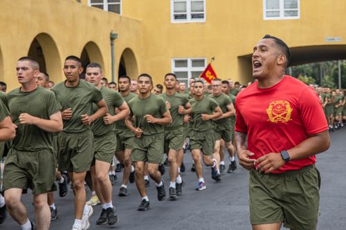 U.S. Marine Corps Bucks Retention And Recruitment Challenge Felt By Other Services Abroad