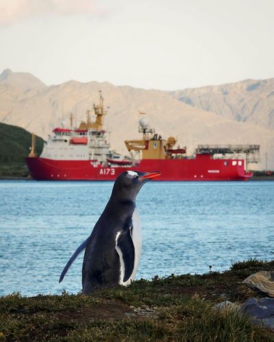 HMS Protector Participates In Unitas Exercise