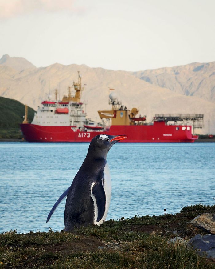 HMS Protector Participates In Unitas Exercise