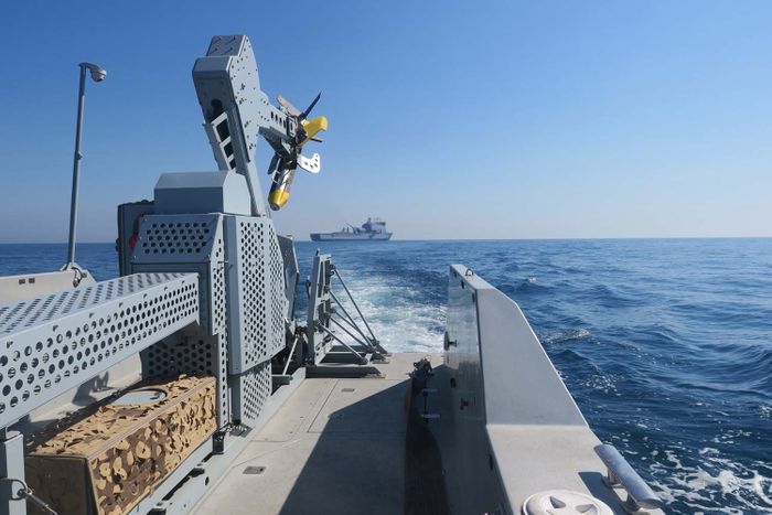 Royal, US and French Navies complete major minehunting workout in Gulf