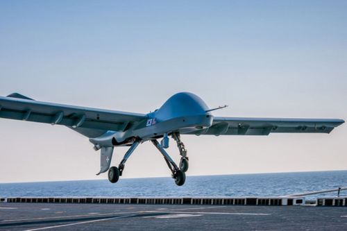Gray Eagle Soars From Sea To Land