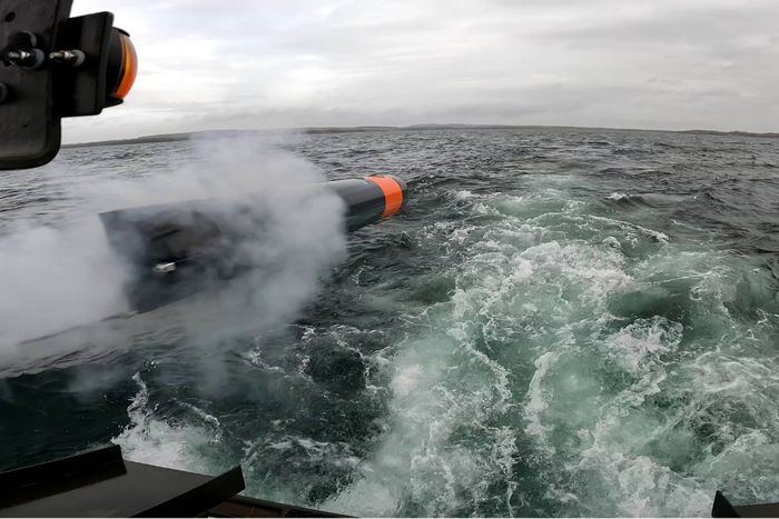 Sweden Spending £95m On New Torpedoes
