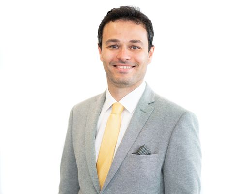 Plamen Mitkov