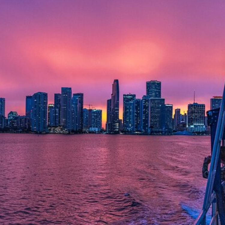 Miami Sunset and City Lights Cocktail Cruise