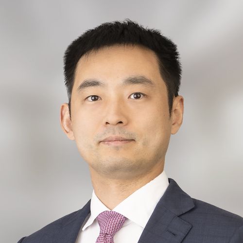 Lin Lu - APSA