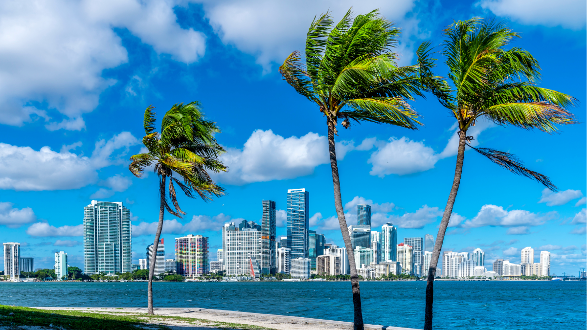 BEAUTIFUL MIAMI!