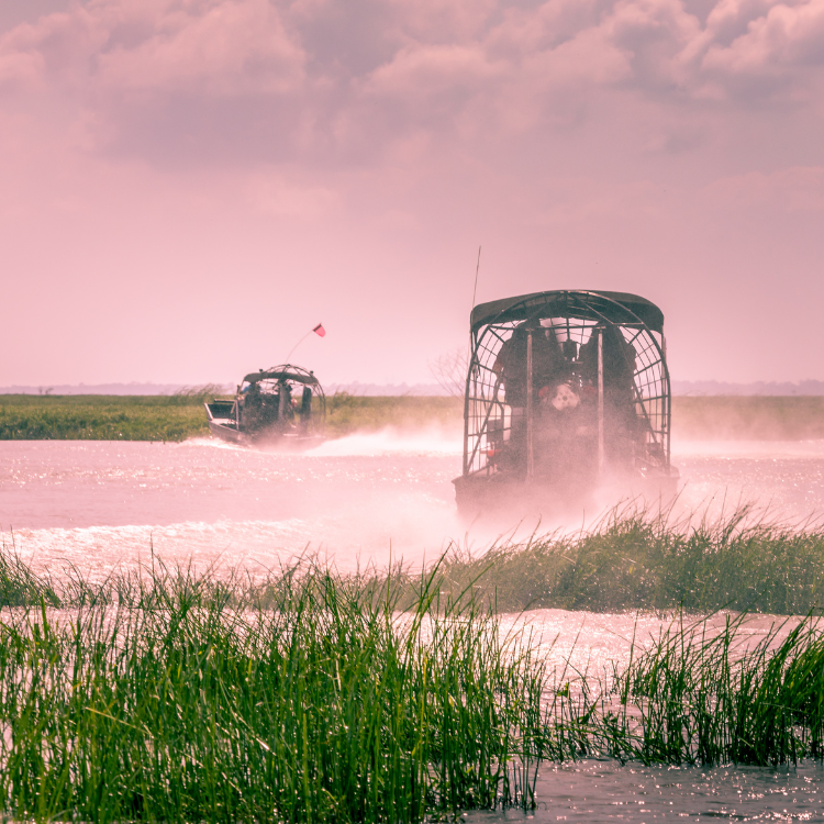 Everglades Airboat ride