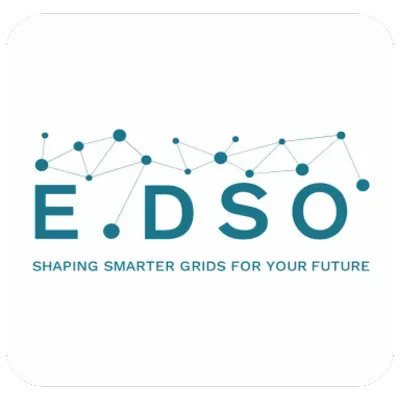 European Distribution System Operators (E.DSO)