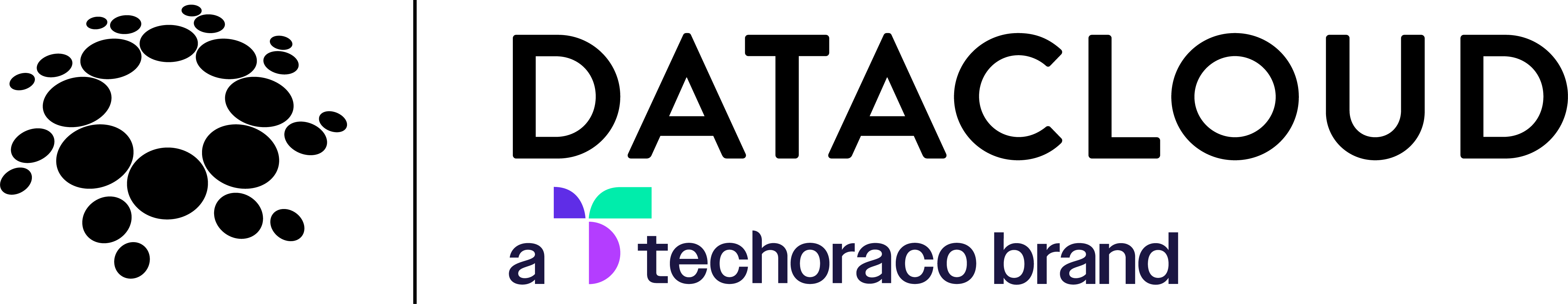 Datacloud Logo - techoraco