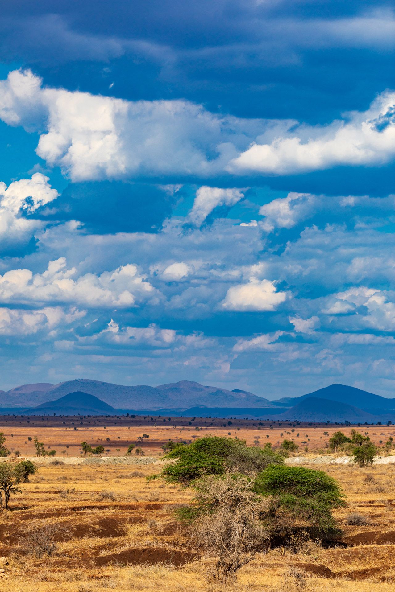 3 Days Amboseli National Park Safari