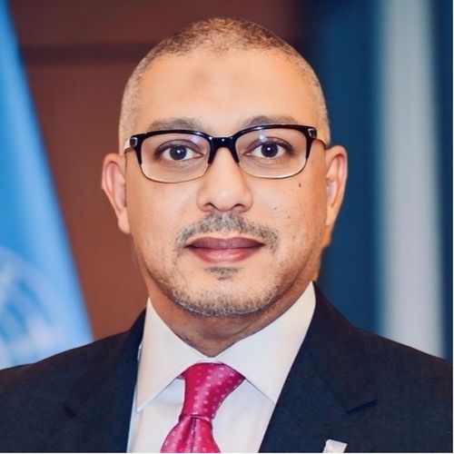 Ammar Hamadien - Salience Consulting