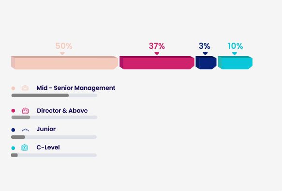 Breakdown statistics of seniority audience