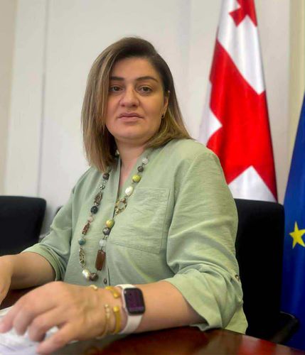 Sophie Tvalavadze -  Ministry of Economy and Sustainable Development of Georgia