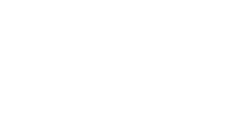 Logo of Capacity Europe in white