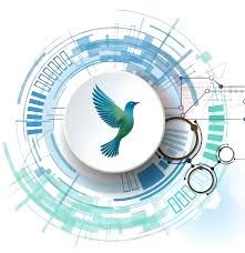Excelsior Bird Services