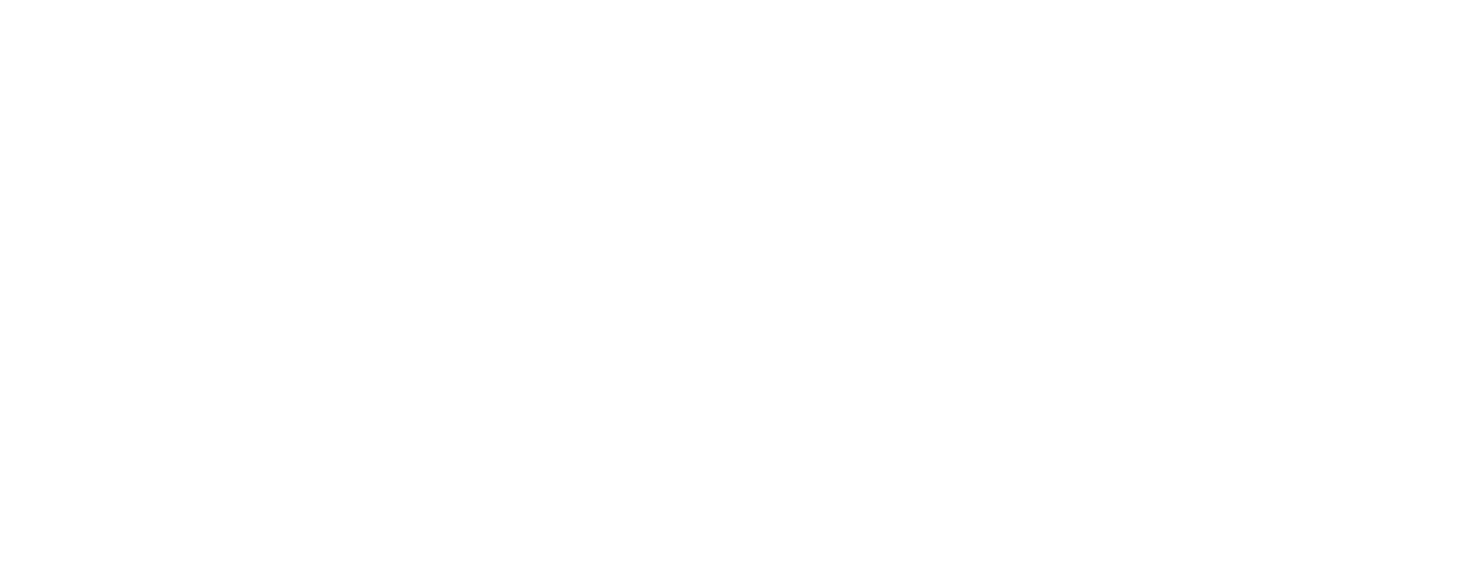 white techoraco text logo