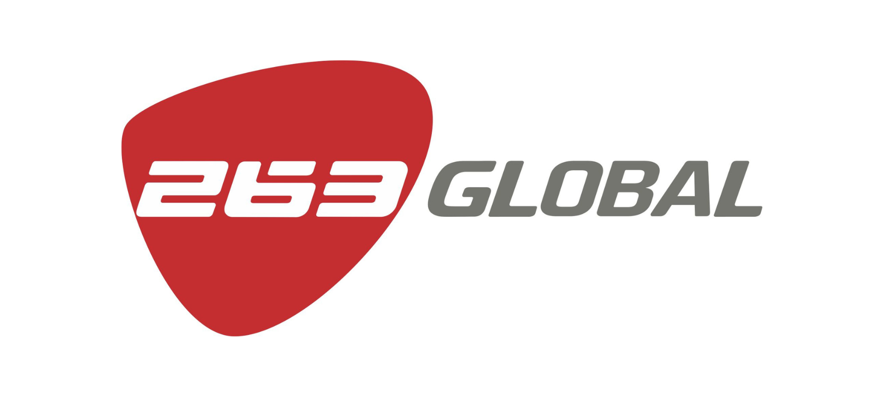 263 global logo