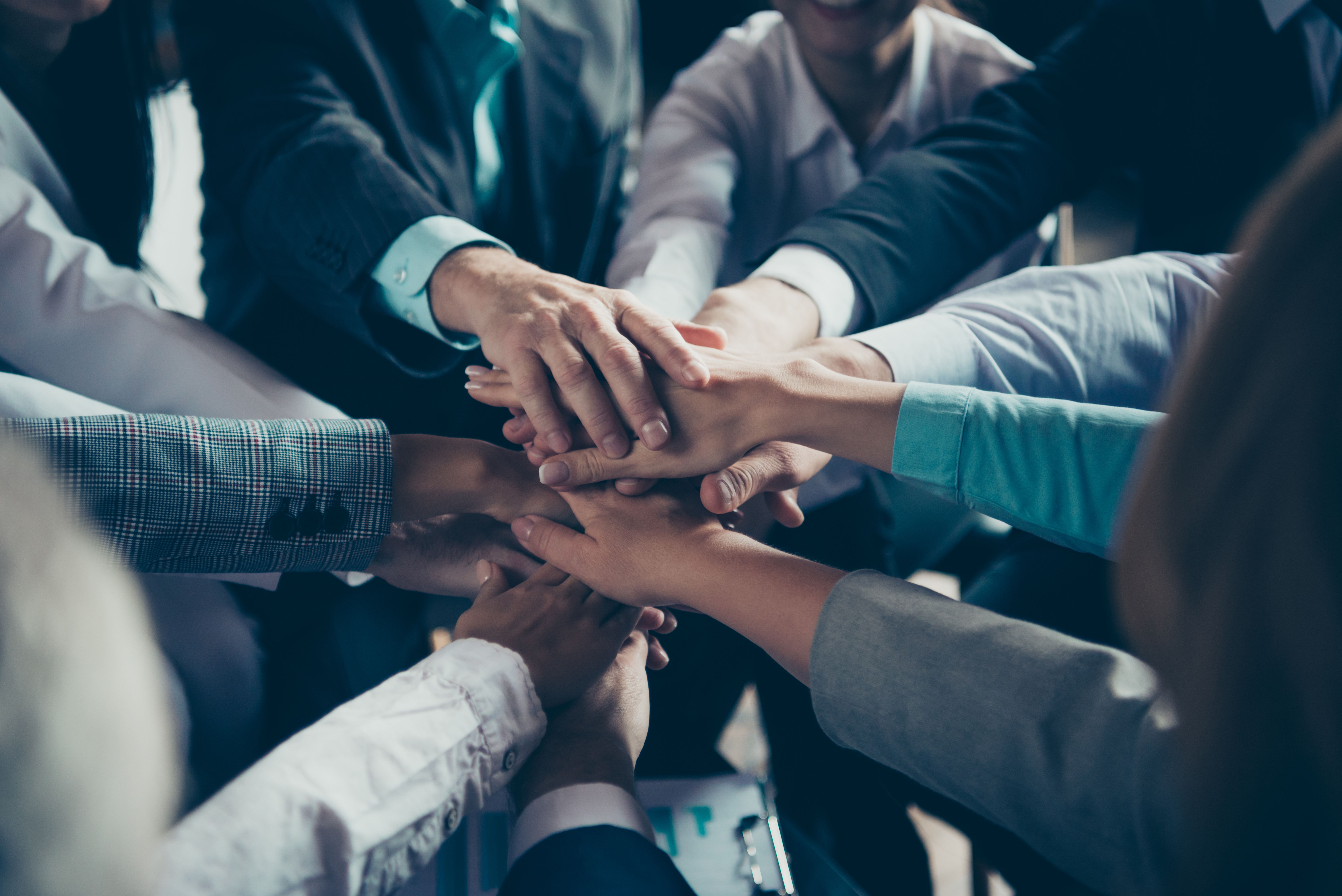 HR Expert Committee