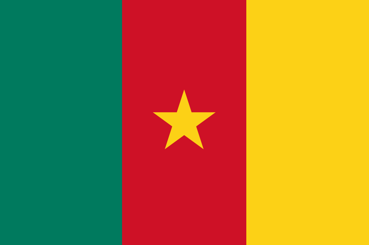 Country profile: Cameroon