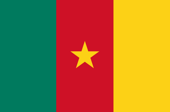 Country profile: Cameroon