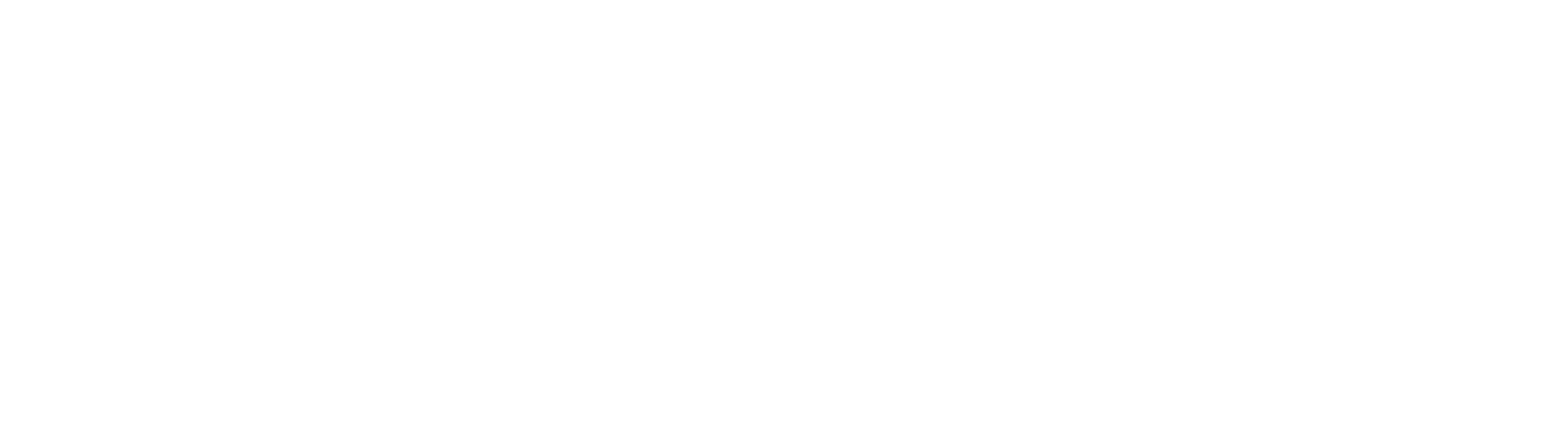 25 Years of Metro Connect USA