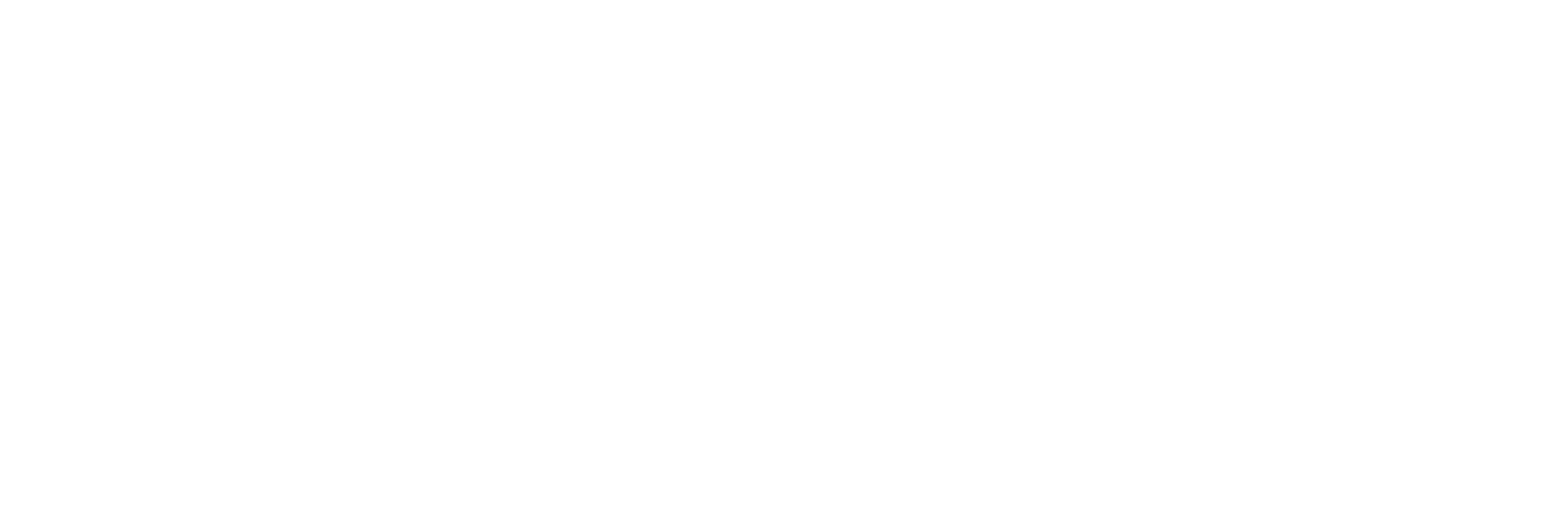 Logo of Mexico Connect in white