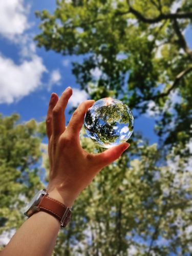 Join the ITinSell Green Charter for eco-friendly logistics