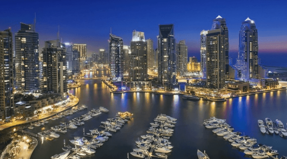 DP WORLD port tour dubai