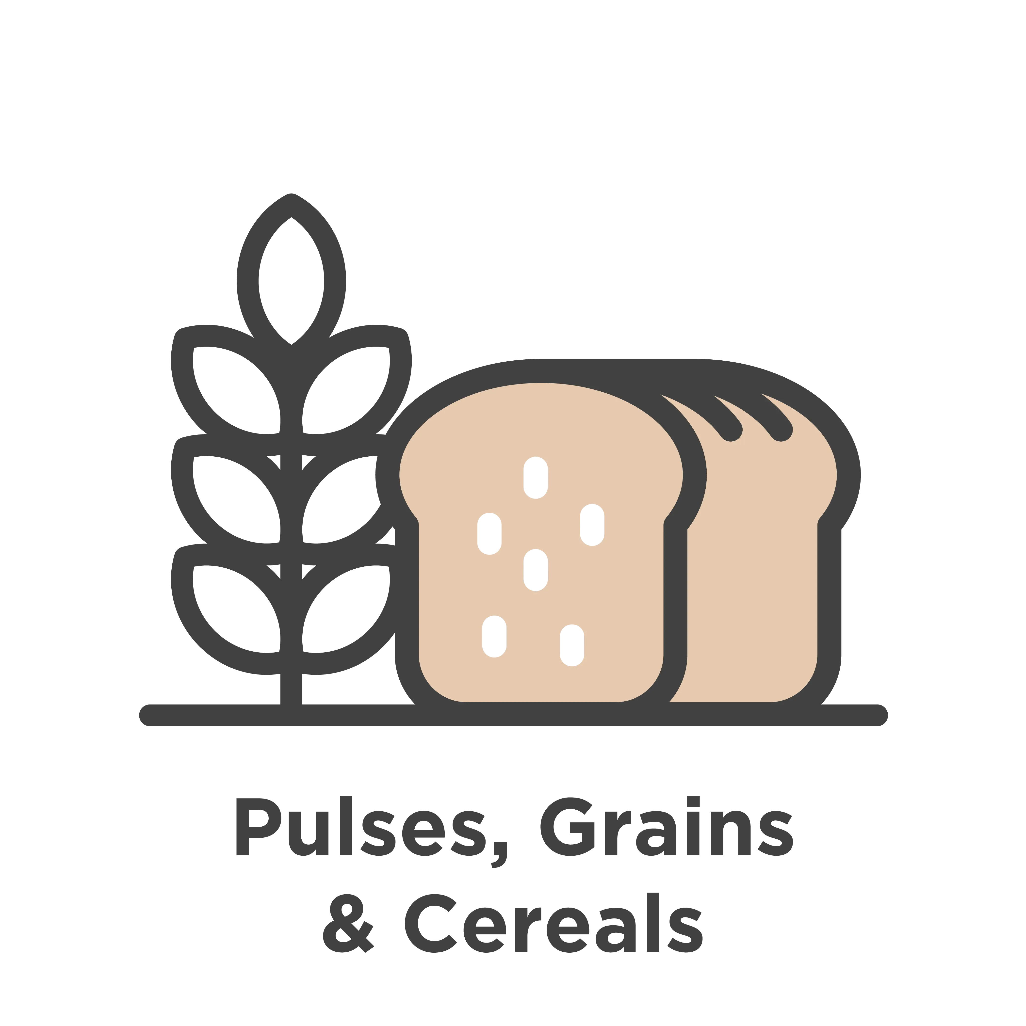 Pulses/Grain & Cereals