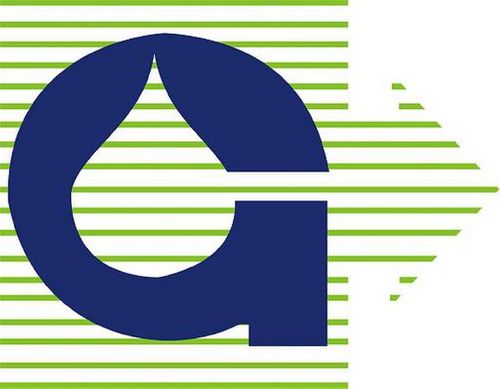 GUJARAT AMBUJA EXPORTS LIMITED