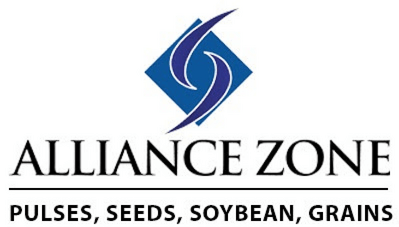 Alliance Zone Inc.