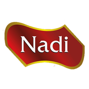 Nadi Holding GmbH