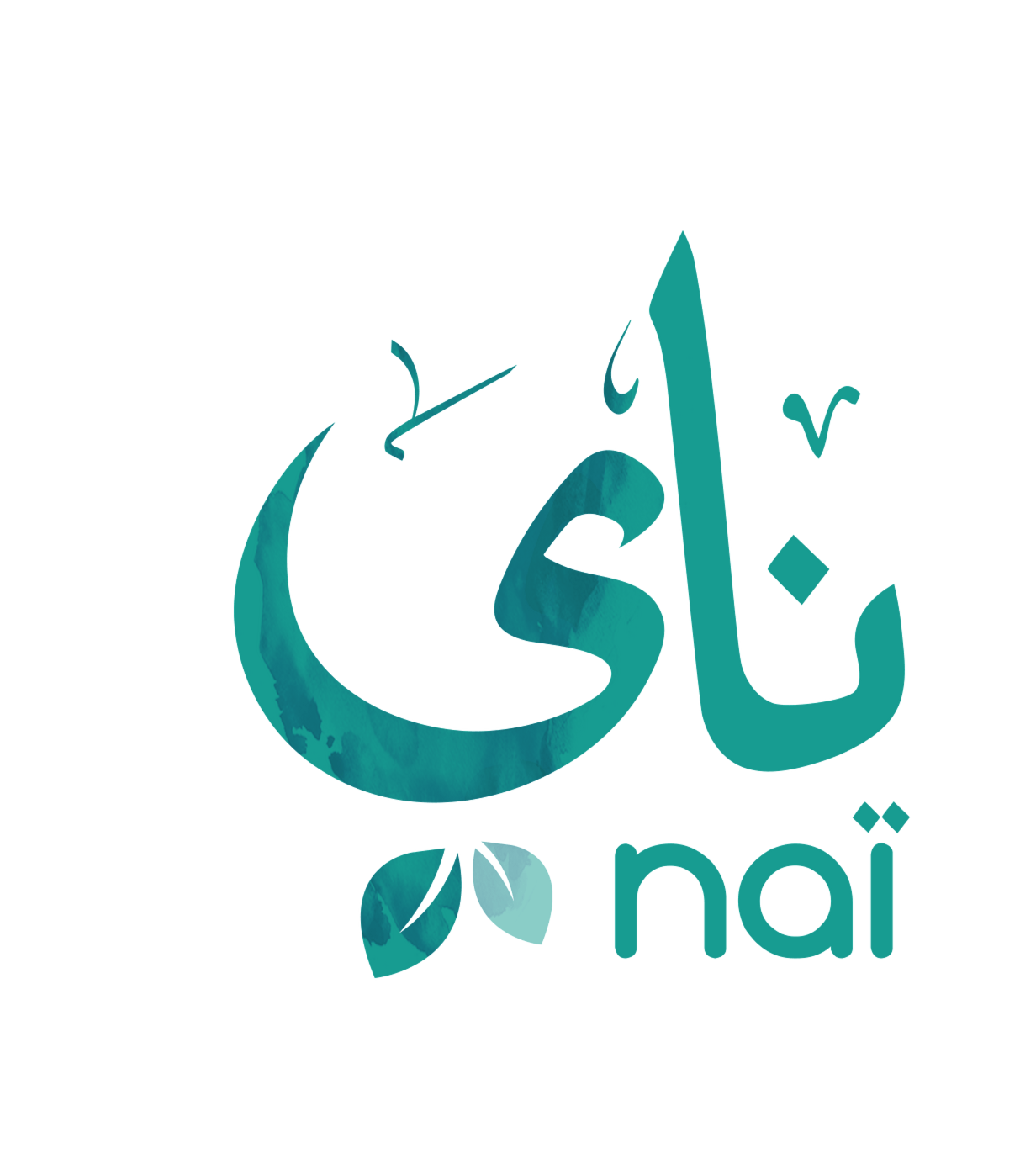 Nai Arabia Food Co DMCC