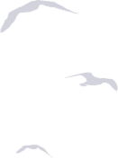 3-featuredimage