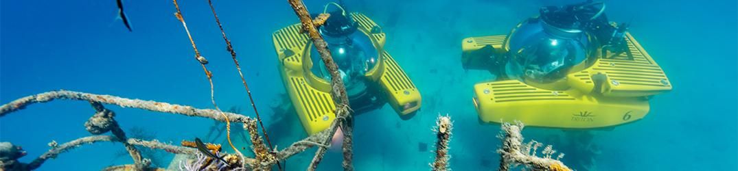 Triton Submarines LLC