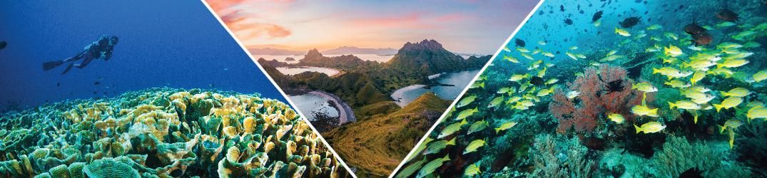 Ministry of Tourism and Creative Economy of the Republic of Indonesia