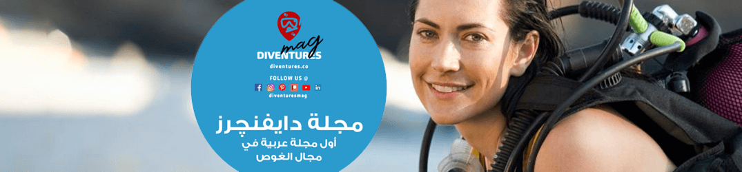 Diventures