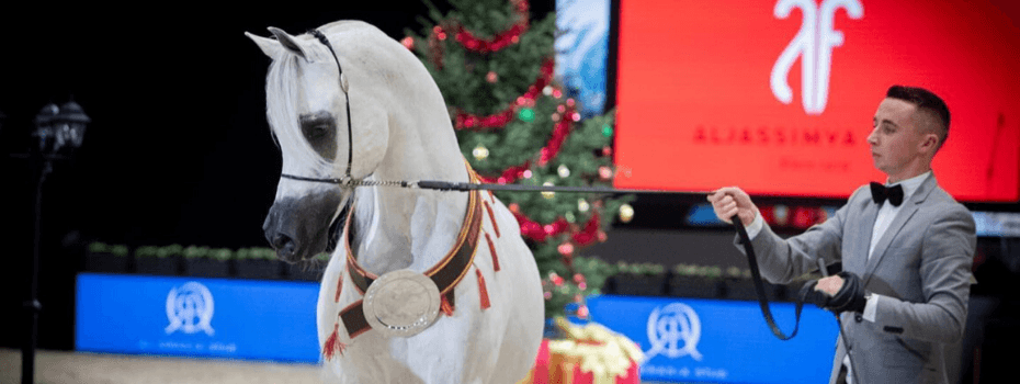 Equine America (UK) Ltd