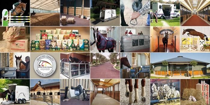 German Horse Industry Consulting GmbH