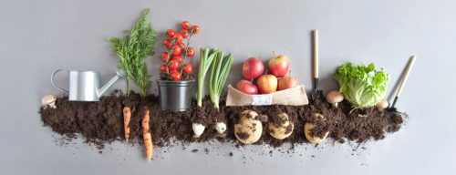 HOW UTILIZING TECHNOLOGY CAN HELP THE ORGANIC FOOD SUPPLY CHAIN MAXIMIZE ITS YIELDS