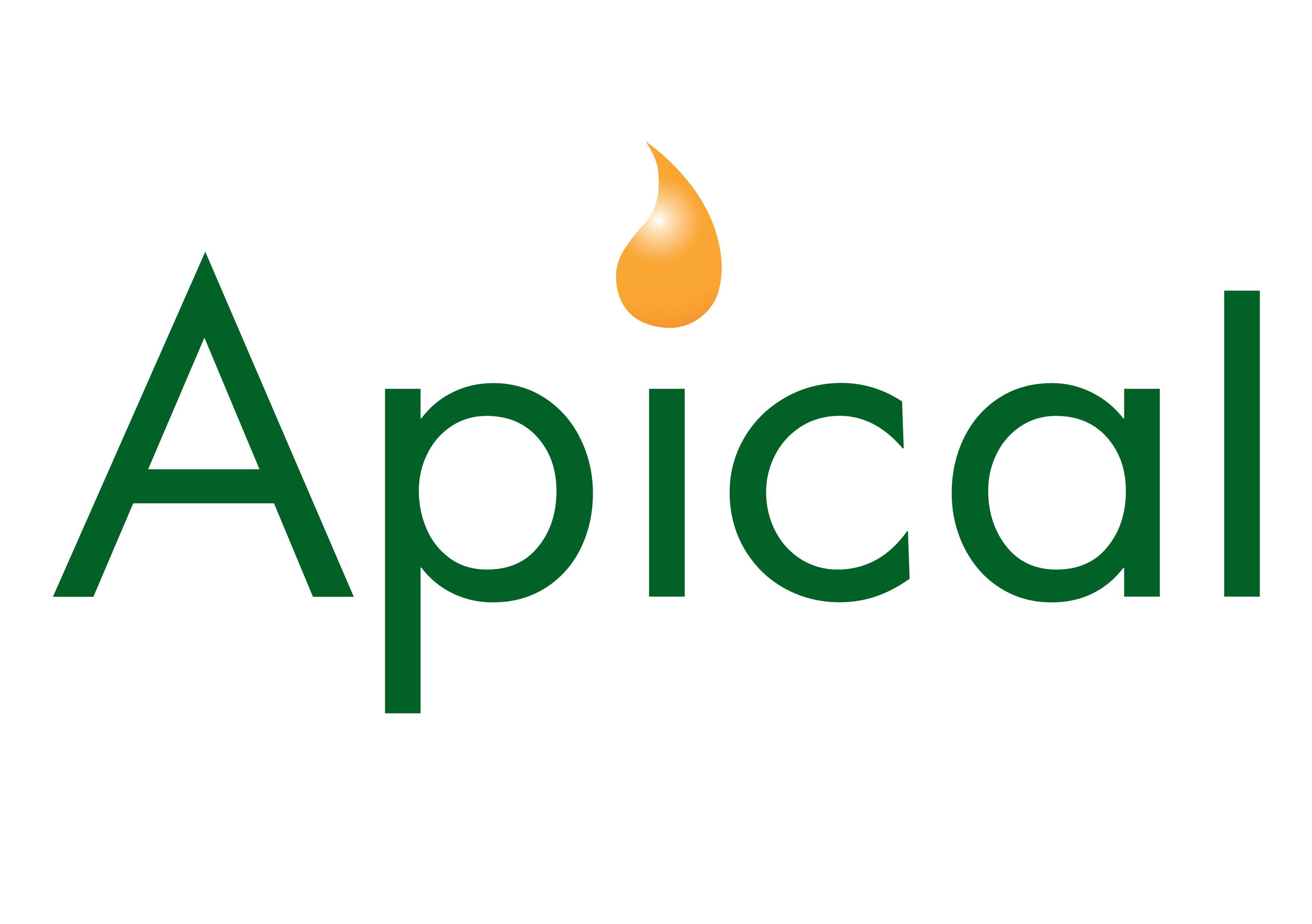 Apical Main sponsor