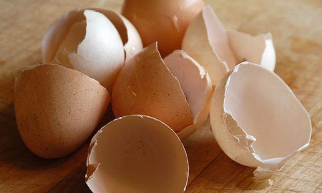 Egypt to establish 1st factory to produce environment-friendly bags from eggshell