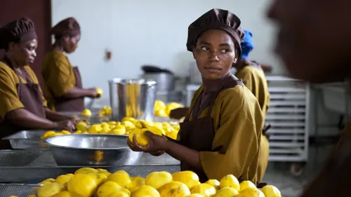 Unlocking Zambia’s agricultural potential through smart investments in agro-processing